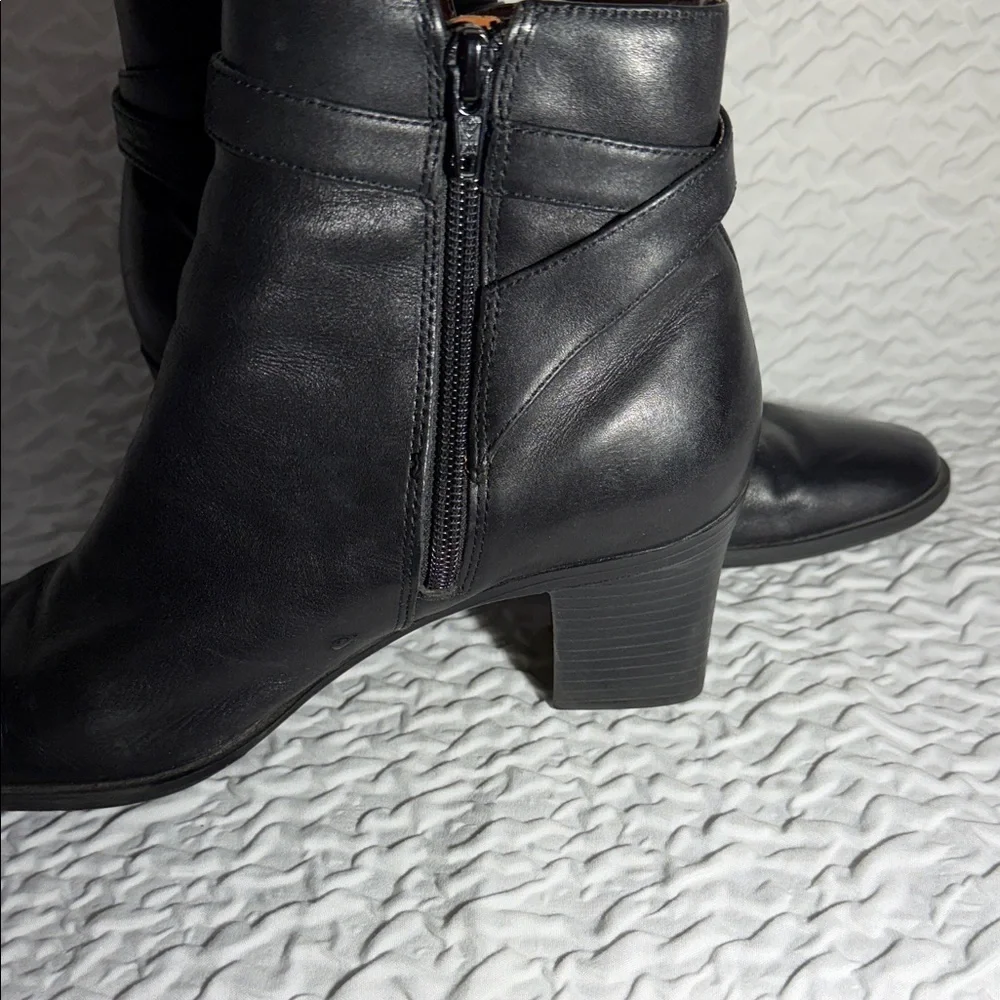 Predictions elegant black
